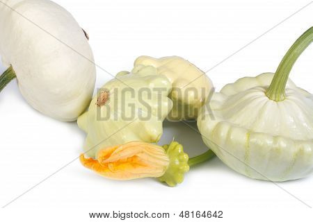 Patty Pan Squash mit einer Blume, isolated on white