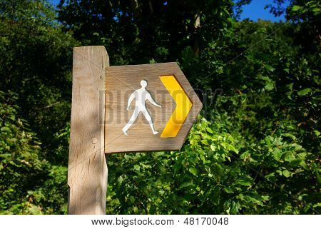 Signe Post