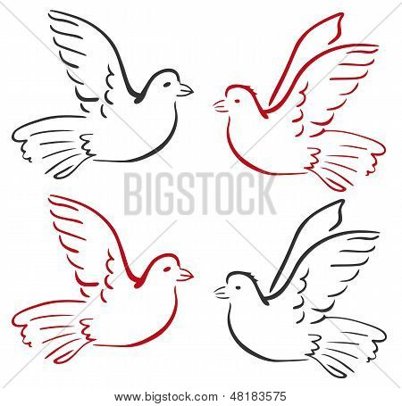 Dove