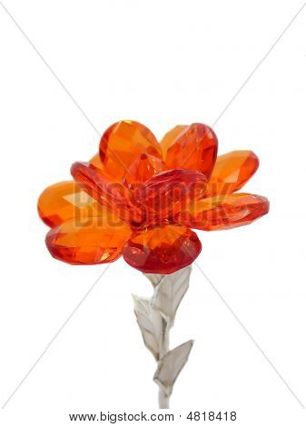 Glass Flower