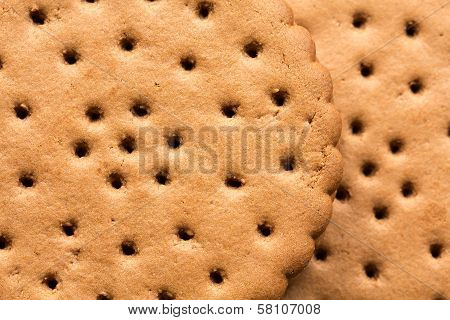 Closeup Of Chocolate Cookies