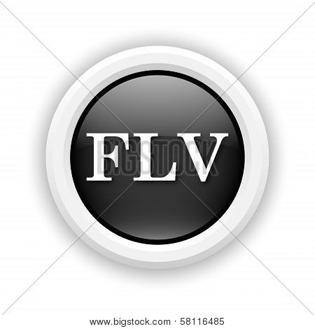 Flv Icon