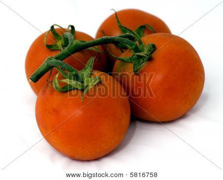 Truss tomaten