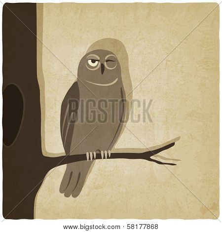 owl on branch old background