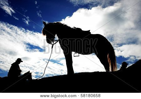 horse