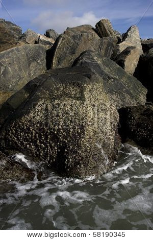 Jetty Rocks at Morning
