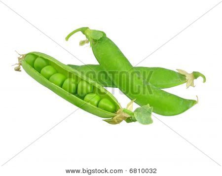 ถั่วลันเตาใน Peapods