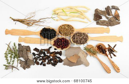 Traditional chinese herbal medicine ingredients, close-up