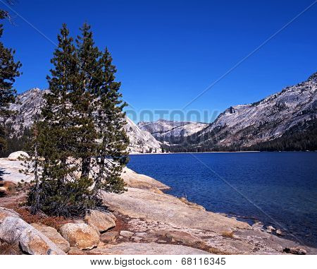Tenaya Lake, Yosemite National Park.