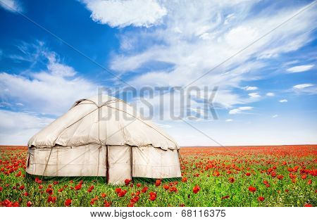 Urta Nomadic House At Poppy Flowers Field