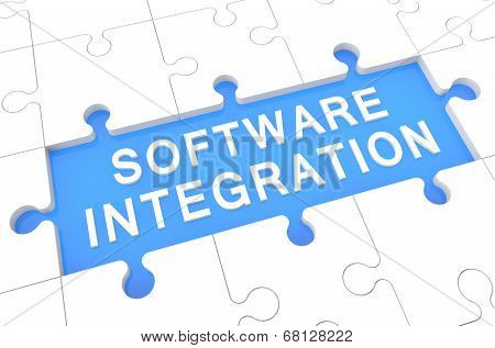 Software Integration