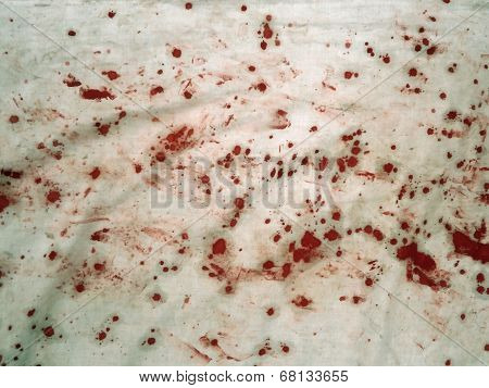 Blood on white canvas