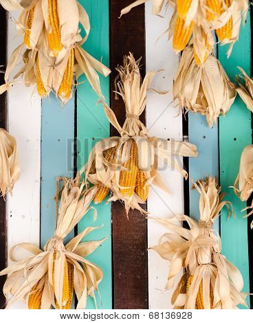 sweet  corn
