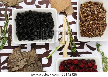 Traditional chinese herbal medicine ingredients on not real hieroglyphs, close-up