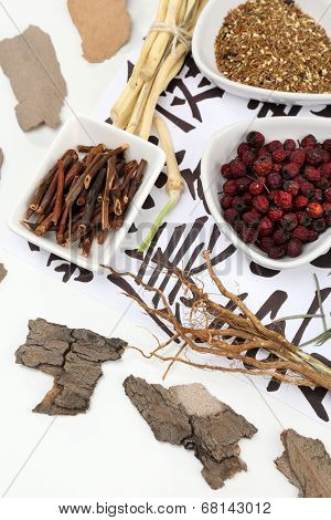 Traditional chinese herbal medicine ingredients on not real hieroglyphs, close-up