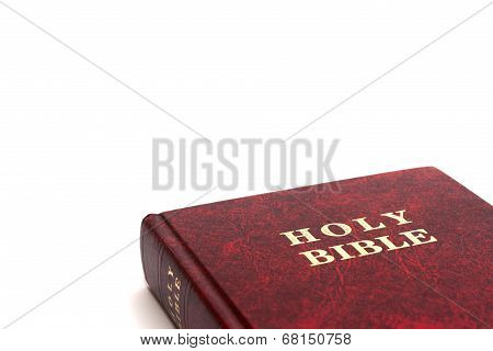 Holy Bible