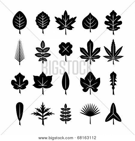 Set Icons Of Leaf