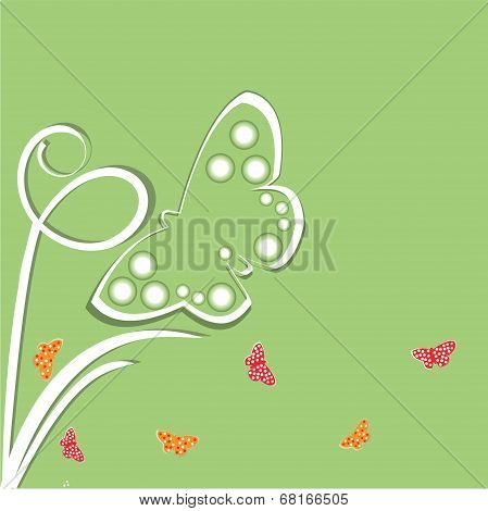butterfly