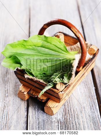 Medicinal herbs in wooden basket on table close-up