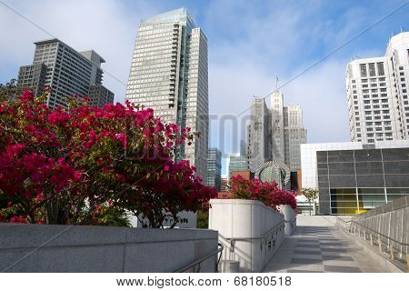 View In San Francisco