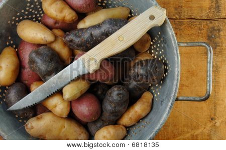 Variedade de batatas de alevinos em peneira
