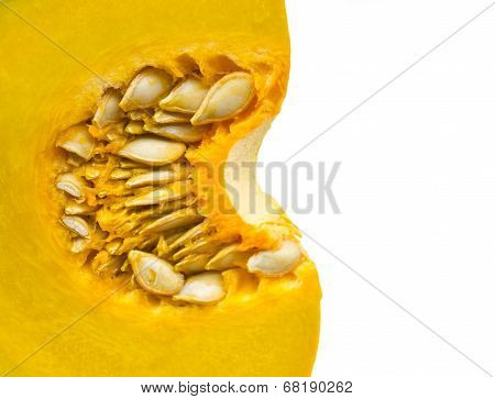 Pumpkin Close up On White Background.