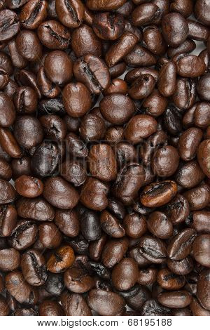 Coffee Beans