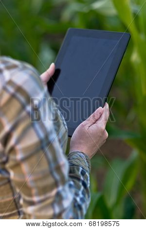 Agronomist With Tablet Computer In Corn Field
