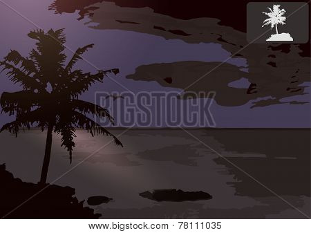 Tropical Beach