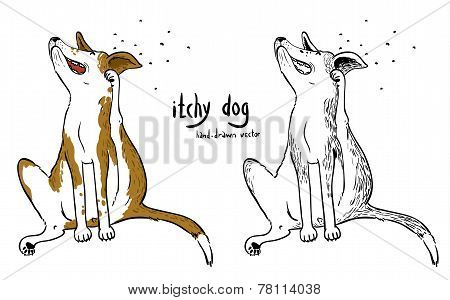 Itchy Dog