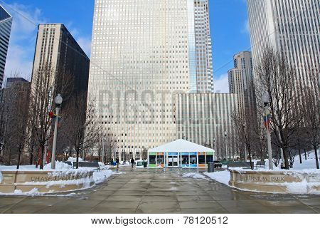 Millenium park at winter