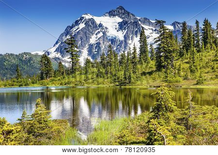 Picture Lake Evergreens Mount Shuksan Washington Usa