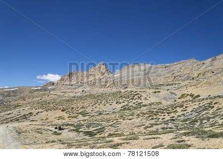 Rocky Mountain Among Scant Vegetation