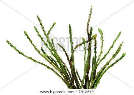Green Asparagus