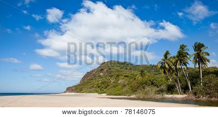 Remote Beach With Palm Trees