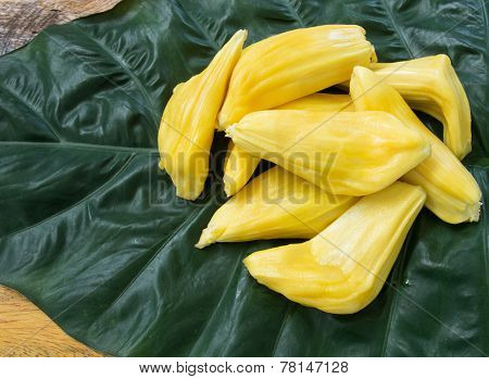 Jackfruit