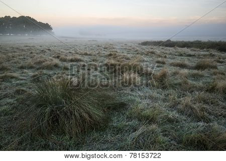 Stunning Foggy Autumn Fall Sunrise Landscape Over Frost Covered Field And Forest