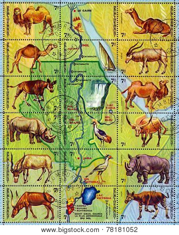 Vintage  Postage Stamp. Animals Burundi.
