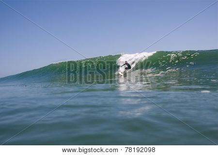 Surfer