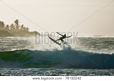 Surfer