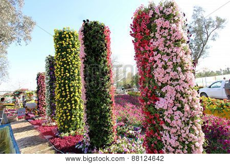 Flowers Gallery in Baghdad