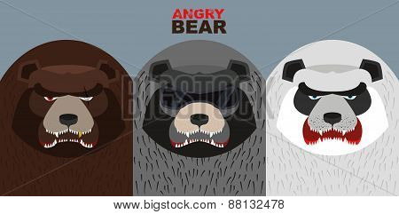 Bad bears. Wild angry animals. Villains. Vector illustration