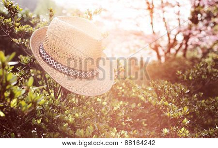 Old straw hat against attached on a plant in garden