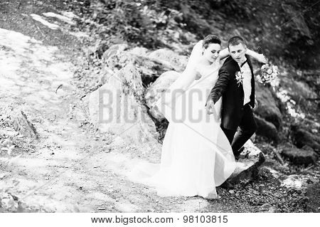 Gorgeus Wedding Couple On Green Sunny Forest On Stones