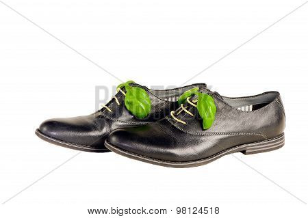 isolated italian leather shoes concept: boots laced with spaghetti and basil leaf as bow