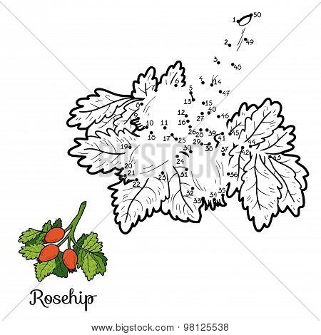 Numbers Vector Game: Fruits And Vegetables (rosehip)