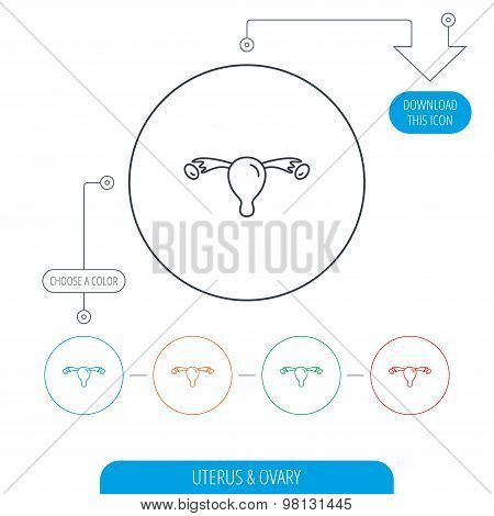 Uterus icon. Ovary sign.