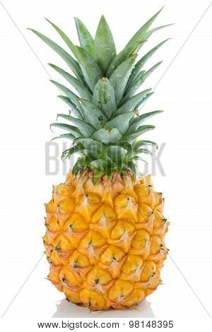 Whole Pineapple Isolated On White Background