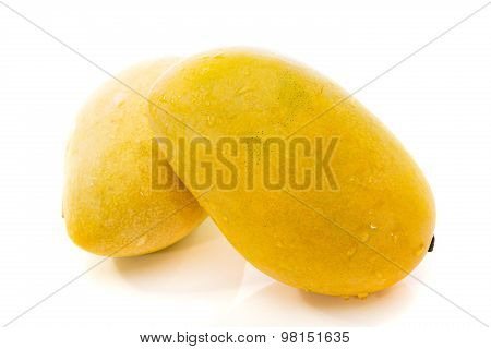 Two Philippines Mango