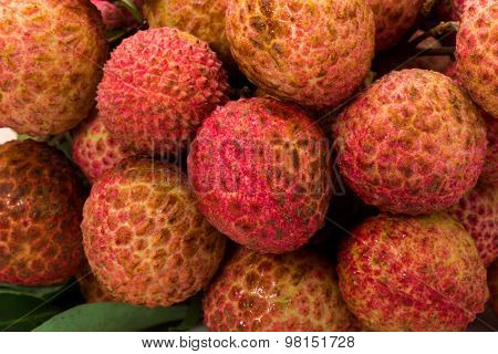 Litchi Chinensis